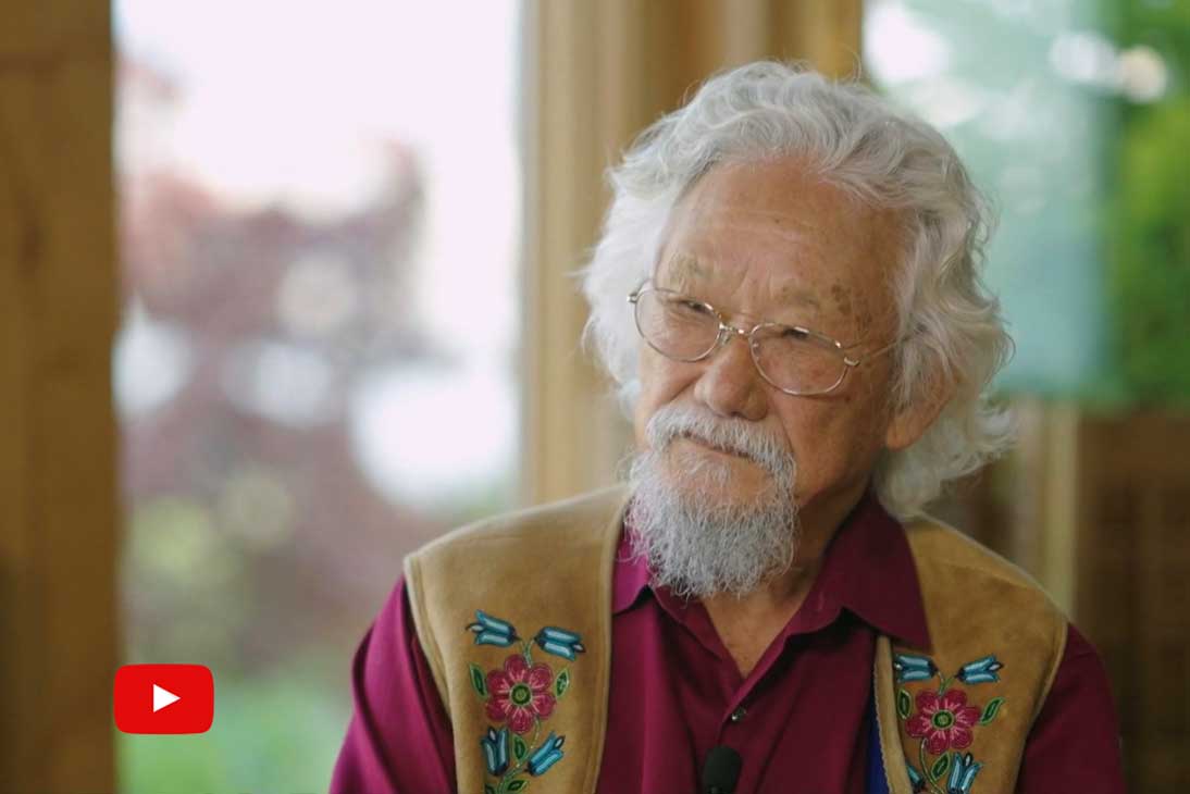 David Suzuki interview, CBC The National